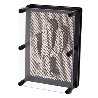 Pin Art Gadget - 8x6" Metal