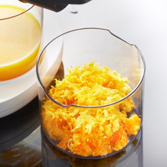 Slow Masticating Juicer White