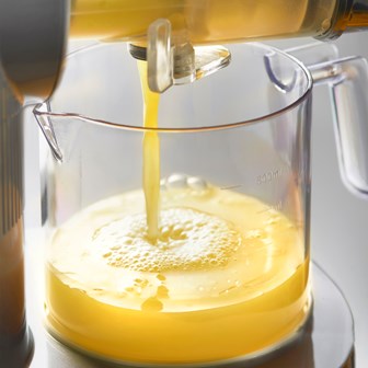 Slow Masticating Juicer Grey