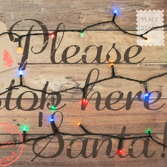 50 LED Battery Op Timer Lights - Multi Colour