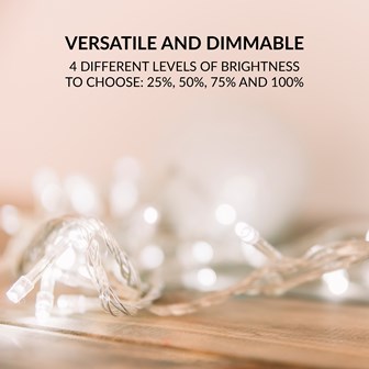 100 LED USB Timer String Light - Warm White