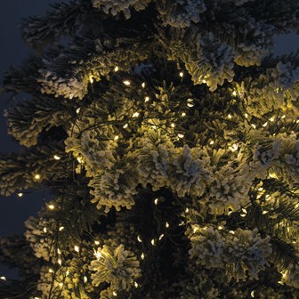 8M 680 Micro LED Green Cluster String Lights-WW