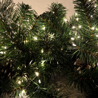 8M 680 Micro LED Green Cluster String Lights-WW