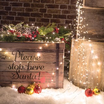 600 Micro LED Black Waterfall Vine Lights- White