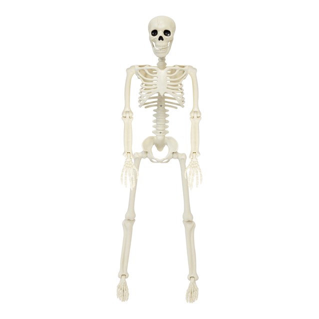 90cm Skeleton 90cm Skeleton