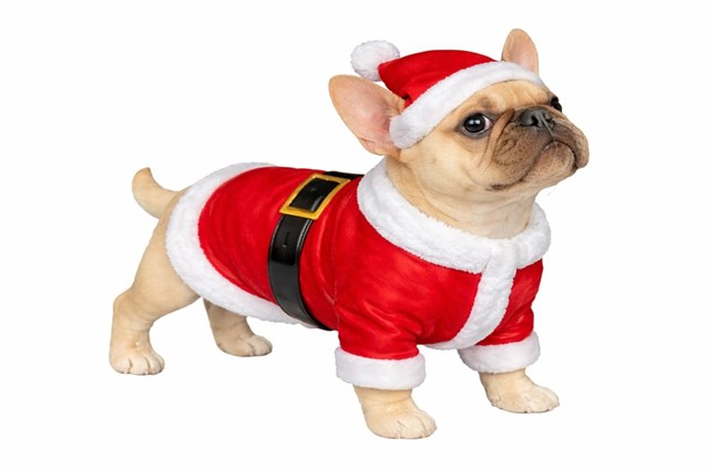 Dog in Christmas Jumper Ornament 30cm - Bulldog Dog in Christmas Jumper Ornament 30cm - Bulldog