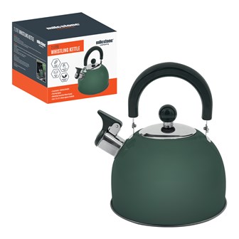 2L Stainless Steel Kettle - Green