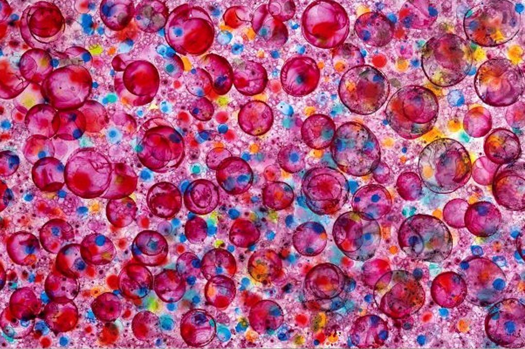 ‘Dokoupil. Pintura abstracta’