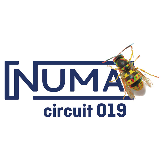 numa circuit 2019