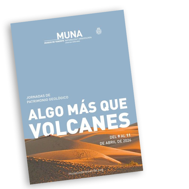Patrimonio geológico: algo más que volcanes TENERIFE 2026