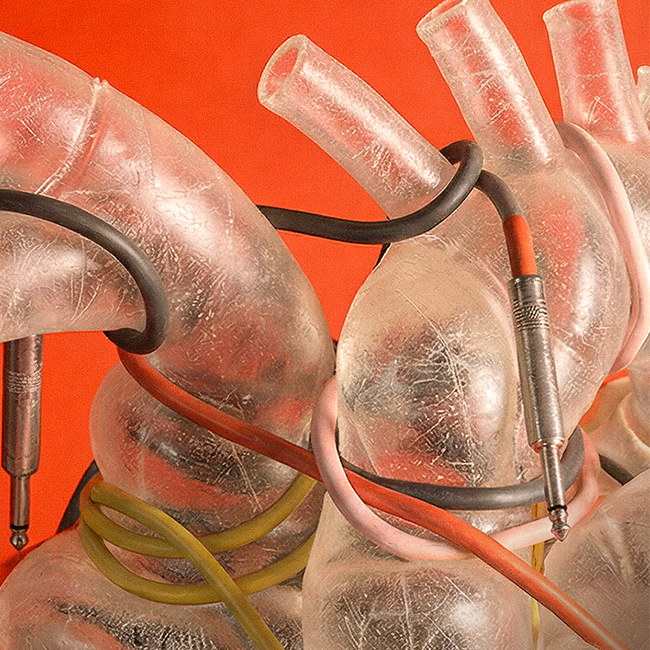 'Sky Zoo', Cosmic Lithium y 'Roto' - NUMAcircuit 026