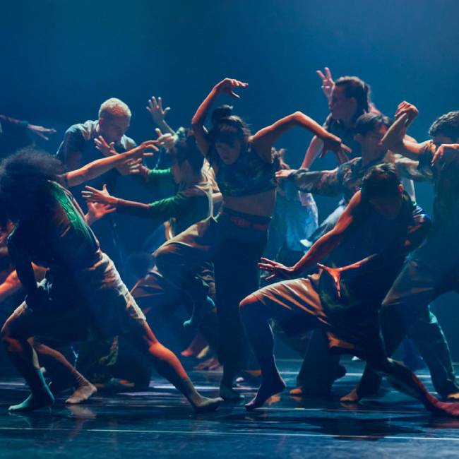 'Wild Poetry & Ima - MAPAS 2026'