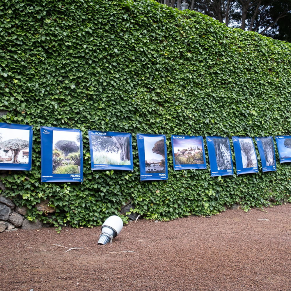 concurso fotografía icod ficmec 2026 tenerife luz sosa