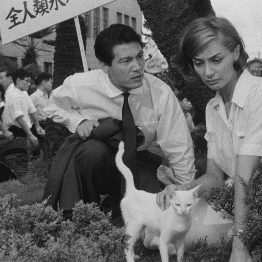 'Hiroshima, mon amour'