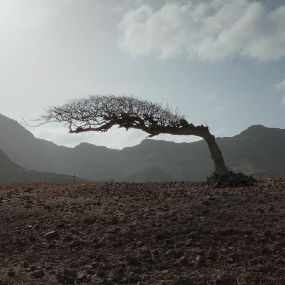 nos povo das ilhas docanarias tenerife 2026