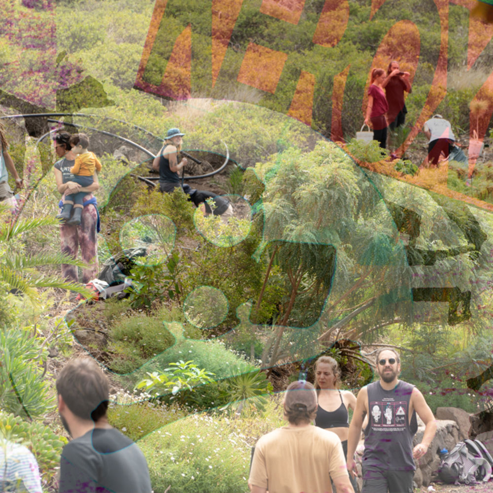 keroxen desplantate tenerife 2026