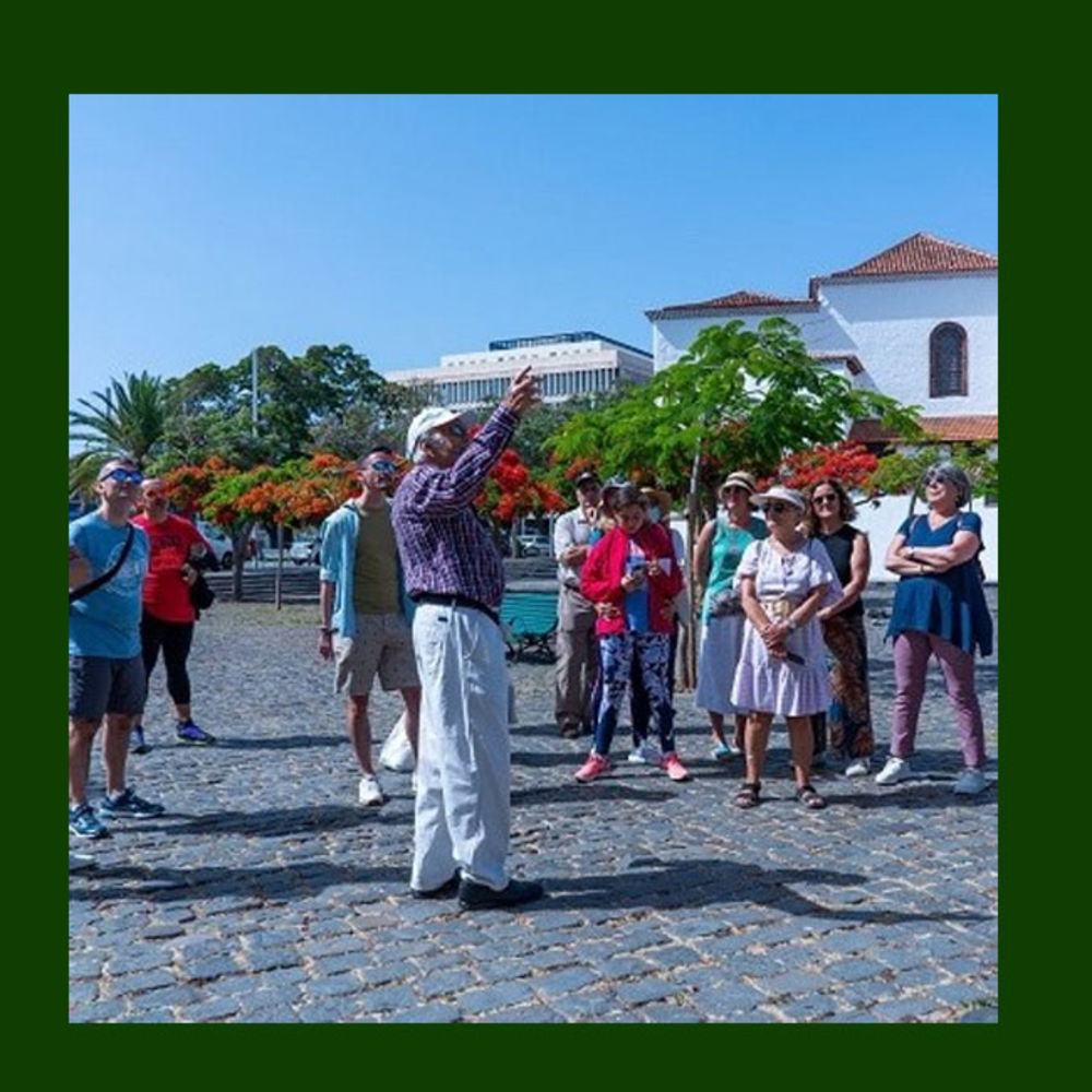 Imagen del evento Rutas Arboles singulares de Santa Cruz de Tenerife