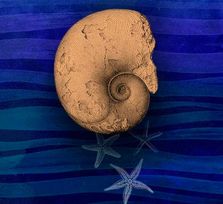 Encuentros en el Mar Buenavista 2026