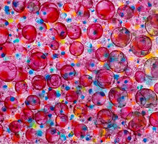  ‘Dokoupil. Pintura abstracta’