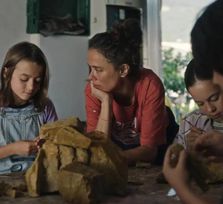 '20.000 especies de abejas'