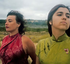 Birds on a Wire - Primavera en la Fundación 2026