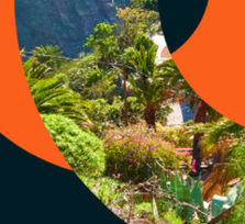 I Island² Chem Conference Bridging Tenerife & Manhattan