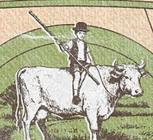 Feria Ganadera 2025 - Granadilla de Abona 