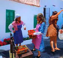 '¡La casa fuerte en acción!'