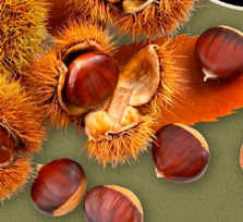 ' Tarde de castañas, dulces y vino'