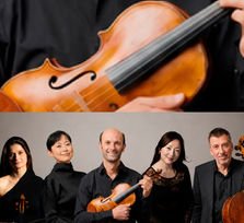 Viola FEST 2026