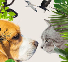 Día de los Animales 2026 - Santa Cruz de Tenerife