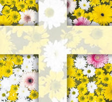 Día de la Cruz en Arafo 2026