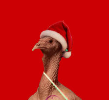 Fiesta Benéfica a favor del comedor social La Milagrosa