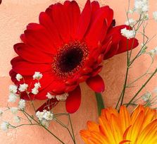 Especial Día de las Madres 2026 - El Rosario