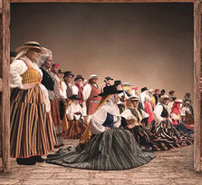 XXIX Festival de Folklore Miguel Ángel Mesa 