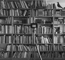 'Imágenes Palabras'