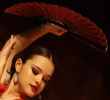 Flamenco entre dos tierras