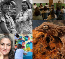 Talleres y acciones - Festival Taganana 2026