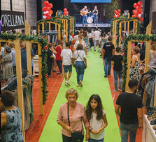 Lo + Cool Navidad 2025 - Candelaria