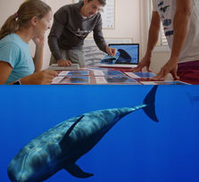 'Nika, el calderón tropical’