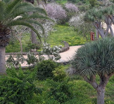 Festival Sonríe - La Matanza de Acentejo 2026