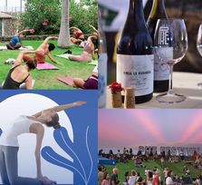 Actividades Paralelas - Phe Festival 2026
