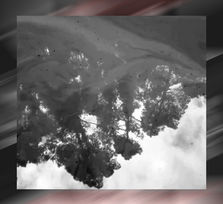 Frédérick Poidevin y Cheb Konchalovsky