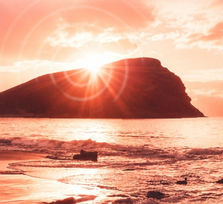 Renacer Tenerife 2026