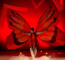 'Rrrrrr. Historia de una oruga'