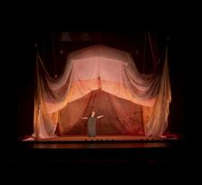 'Sahara, la barca del desierto'