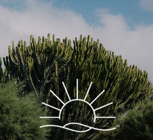 'Serata Lirica'