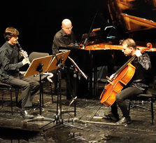 Trío Fernández-Apellániz - V Festival Contemporáneo