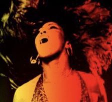 Tina Turner Tribute Show