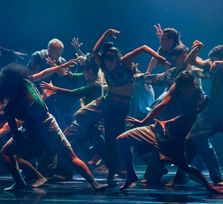 'Wild Poetry & Ima - MAPAS 2026'